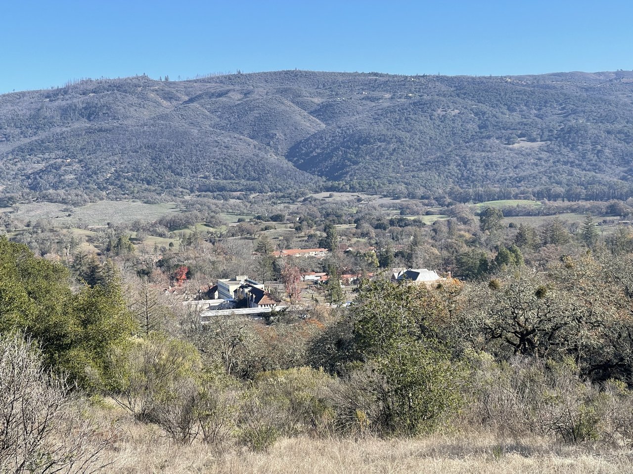A distant view of the Sonoma Developmental Center buildings among trees below wooded hills